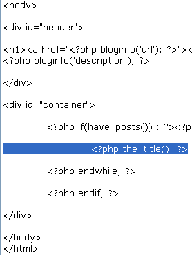 WordPress 主题教程：主循环 第3张