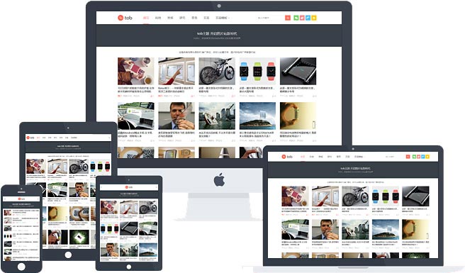WordPress主题：tob 第1张
