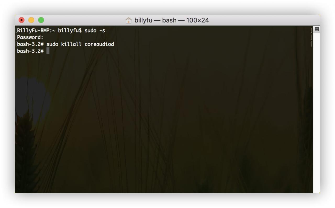 sudo killall coreaudiod