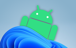 带 Magisk 的 安卓 13 For Win11